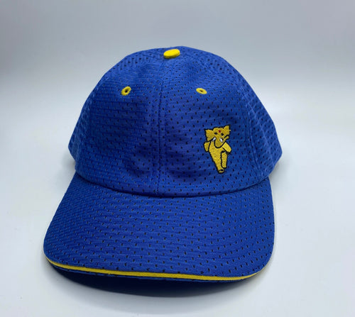 Lightweight Blue Appa hat ( only 6 left!)